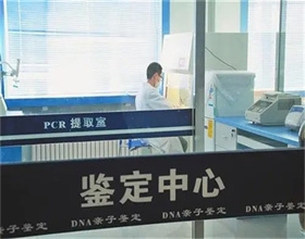 遗传亲缘关系检测