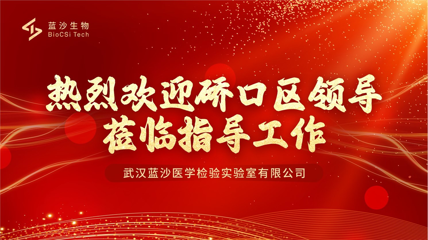 硚口区人大党组书记、常委会主任胡勇一行莅临蓝沙指导调研